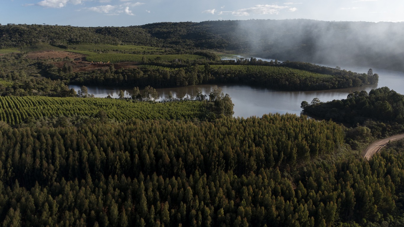 Irani reduz em 92% as emissões de carbono desde 2004 e fortalece compromisso com a sustentabilidade