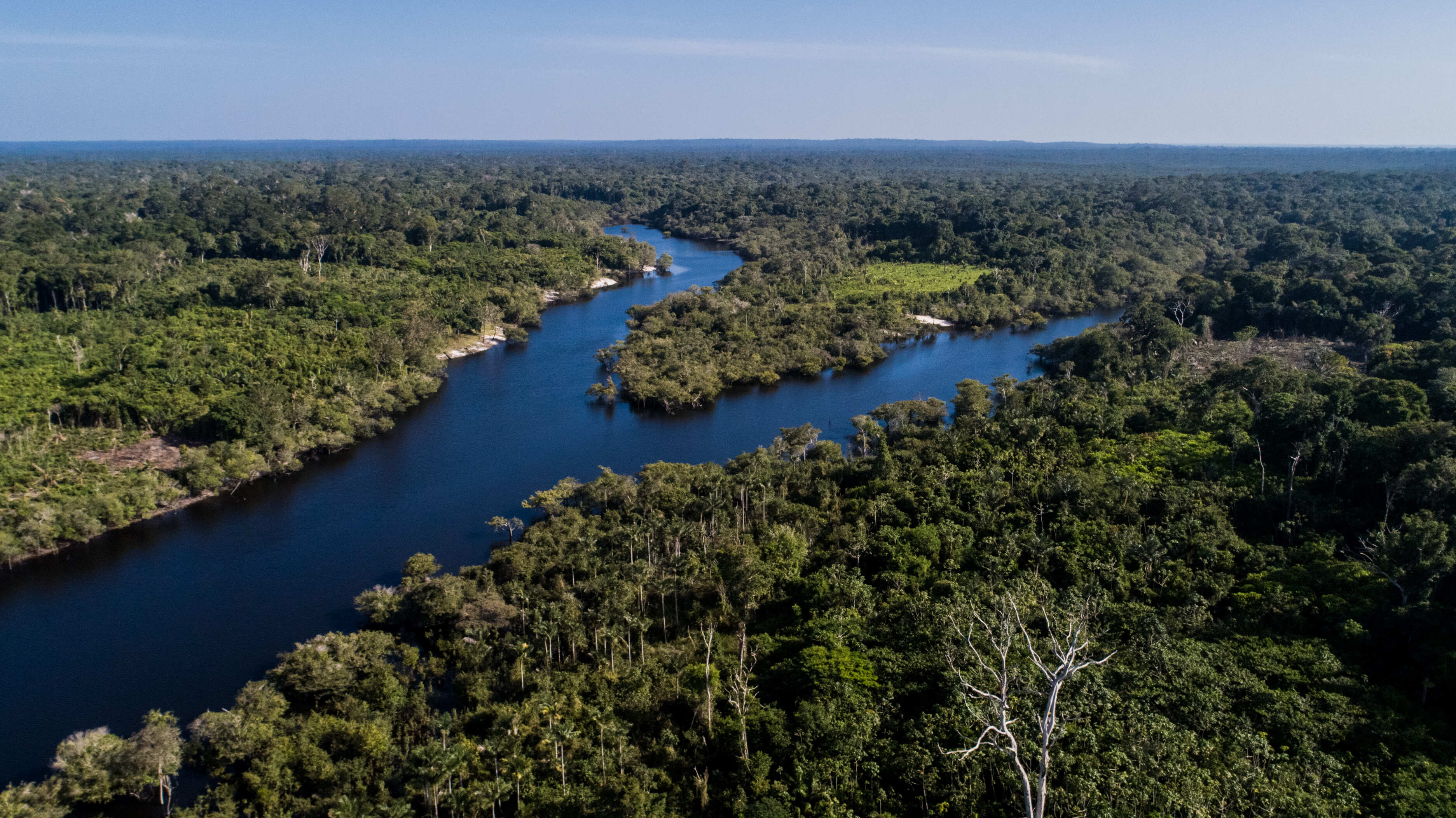 Dia da Amazônia: FSC Brasil aponta o manejo sustentável e a sociobiodiversidade como caminhos para o futuro da floresta em pé
