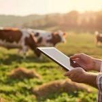 Tecnologia e segurança no agronegócio: proteção para ativos e meio ambiente